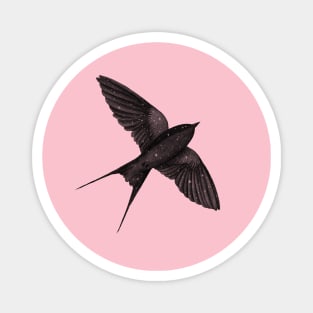 Night Swallow Magnet